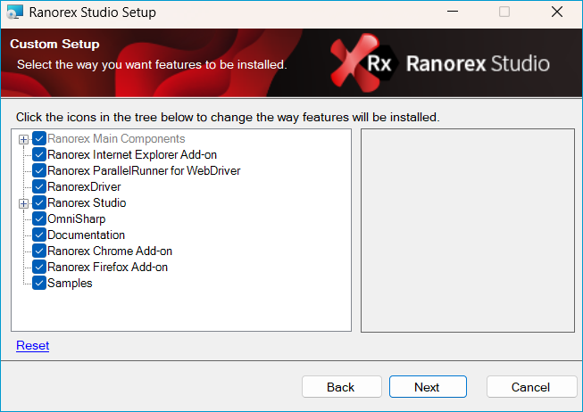 Ranorex Custom setup.png